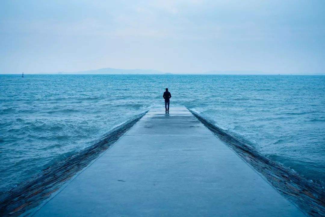 1557045355579777.jpg 6.jpg